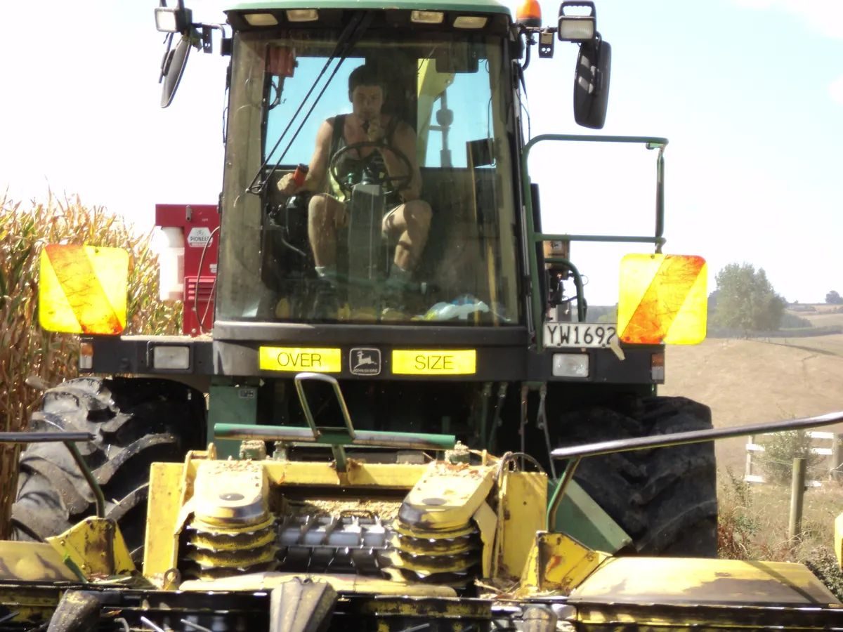 Operator in the cab of a John Deere self-propelled forage harvester seen head-on beside standing maize, with oversize signs on the front