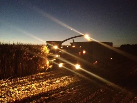 Forage harvester working a maize crop at night, its work lights flaring in the dark