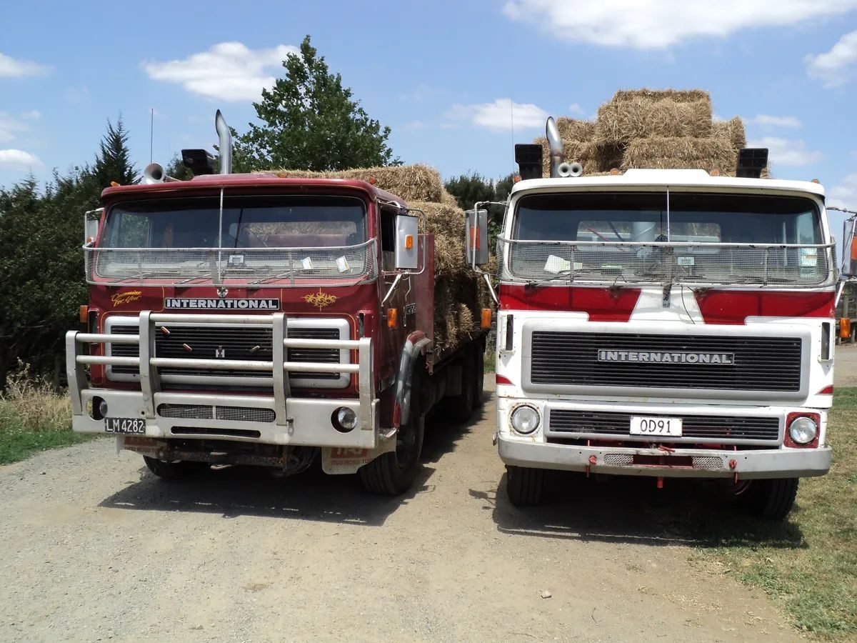Two International trucks, one maroon and one white with red stripes, both loaded with square bales of hay