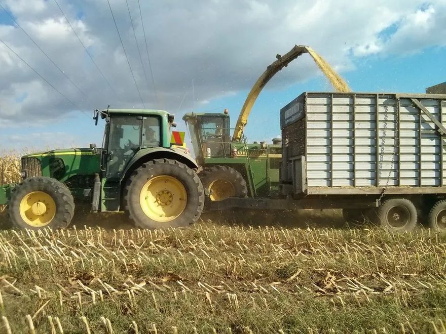 Tractor and silage trailer running beside a forage harvester as it fills the trailer with chopped maize